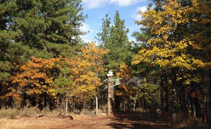 White Eagle Memorial Preserve. Photographs by Jodie Buller.